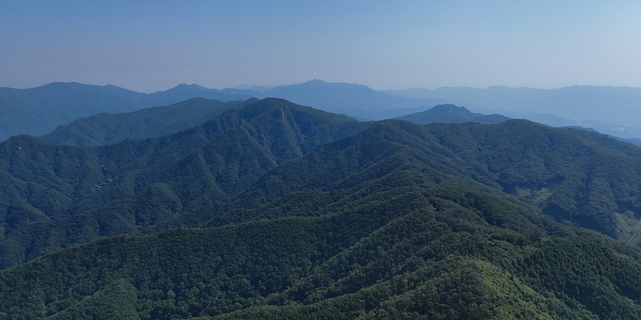 Timeless mountain,
Sustainable forests