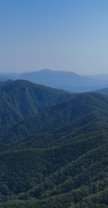 Timeless mountain,
Sustainable forests